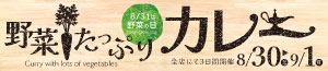 野菜たっぷりカレー/日曜特番/青果の日