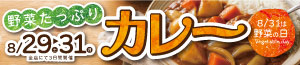 野菜たっぷりカレー/日曜特番/青果の日